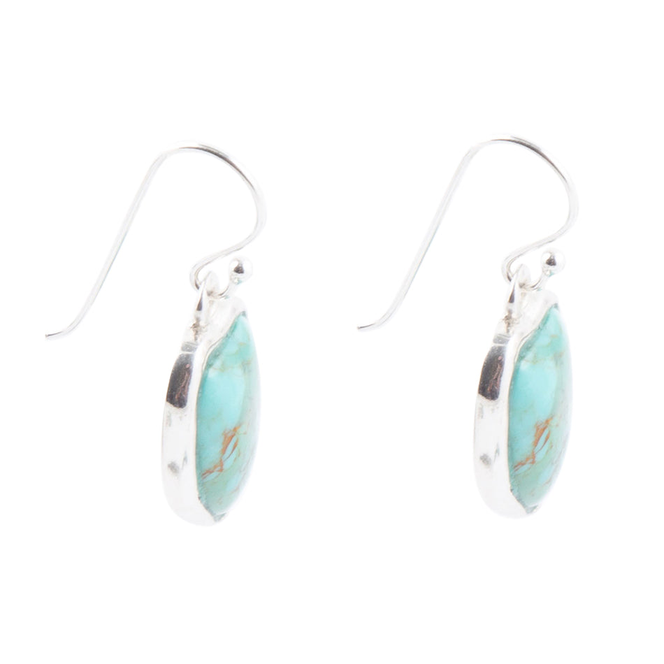 Turquoise earrings with silver hooks on a white background