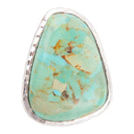 Abstract Turquoise and Sterling Silver Ring - Barse Jewelry