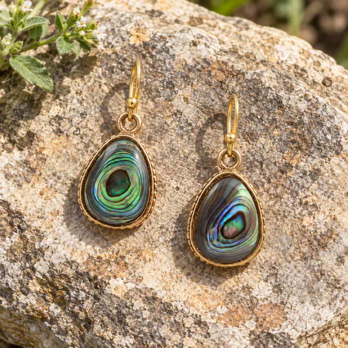 A pair of gold drop earrings with teardrop-shaped abalone shell pendants, resting on a textured natural rock outdoors.