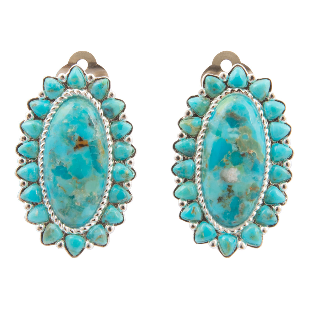 Turquoise stone earrings with silver accents on a white background
