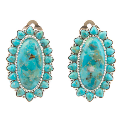 Turquoise stone earrings with silver accents on a white background
