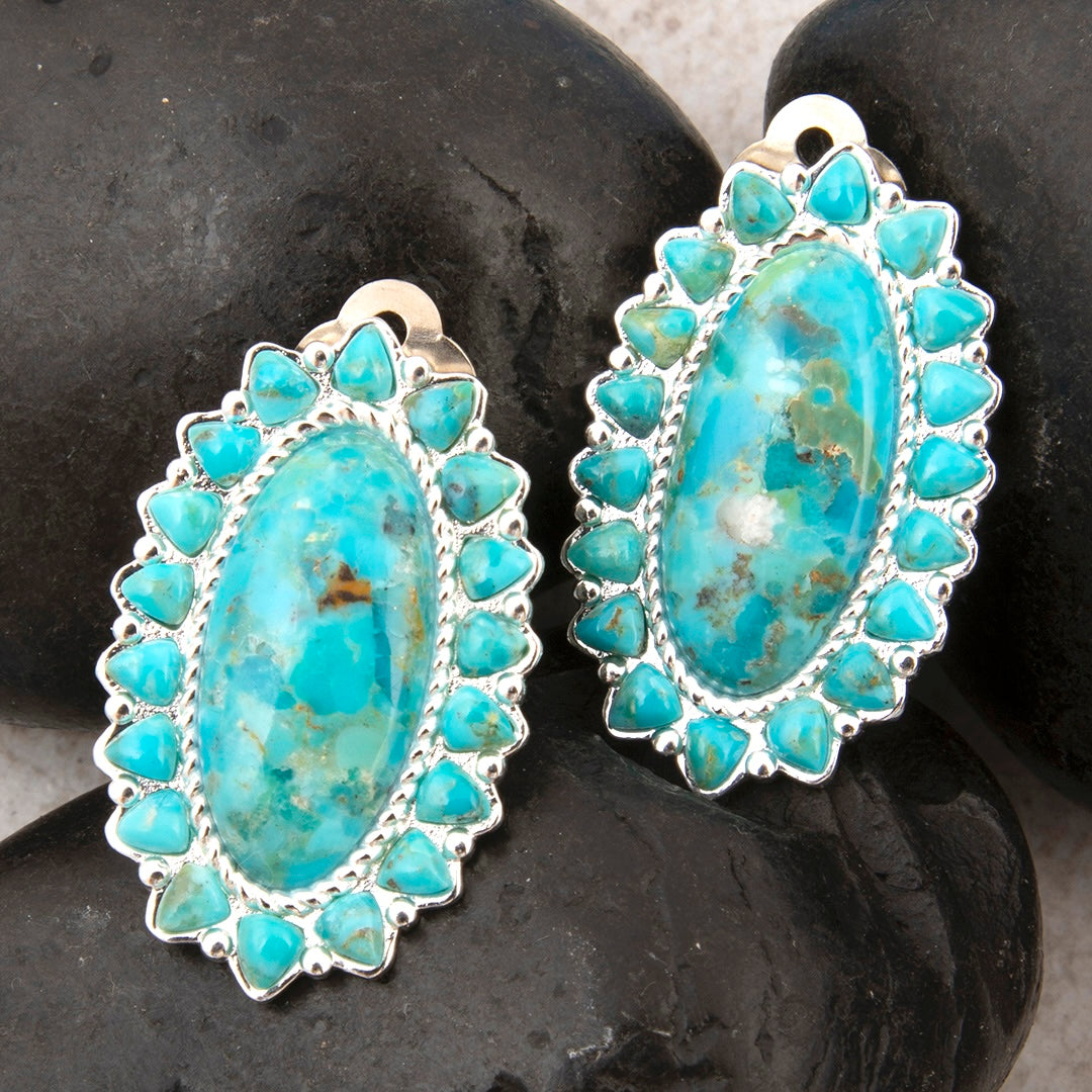 Turquoise earrings with silver setting on dark stones