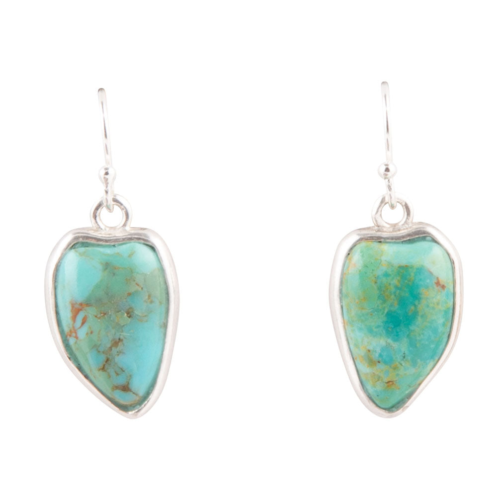 Turquoise stone earrings with silver frames on a white background