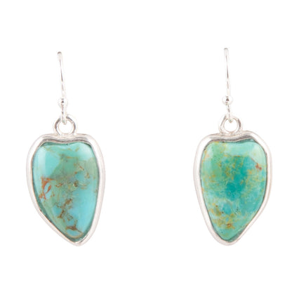 Turquoise stone earrings with silver frames on a white background