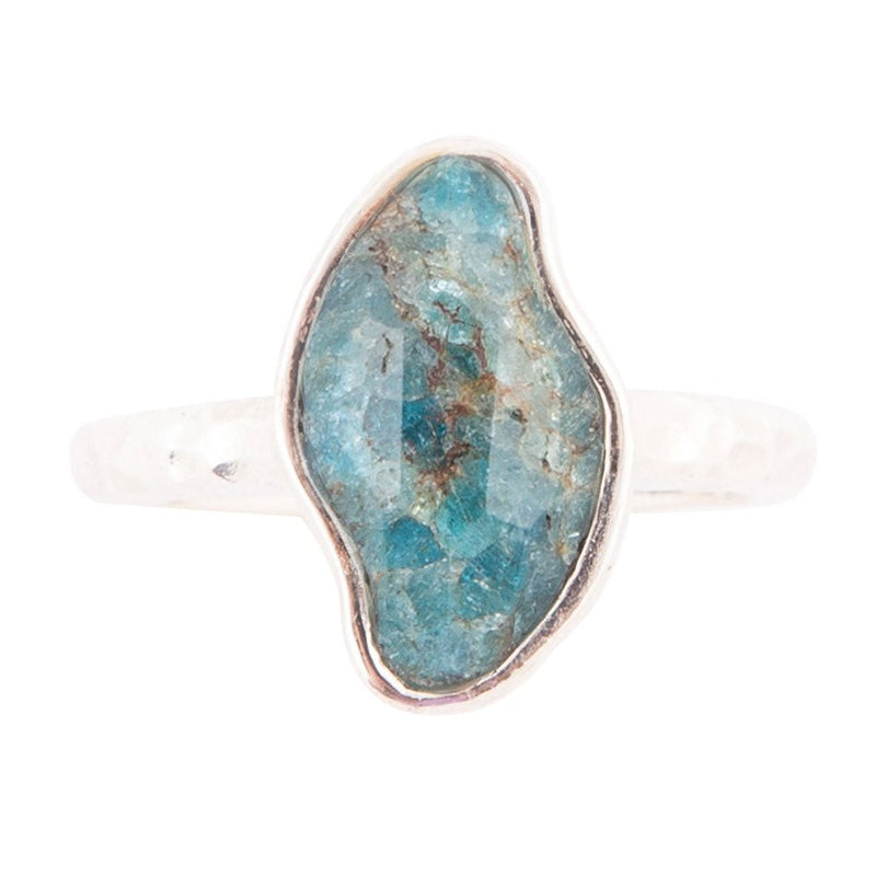 Luna Faceted Blue Apatite and Sterling Silver Hammered Ring - Barse Jewelry