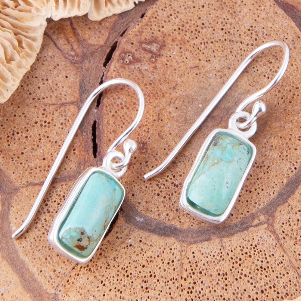 Small Blue Turquoiseand Sterling Silver Drop Earrings - Barse Jewelry