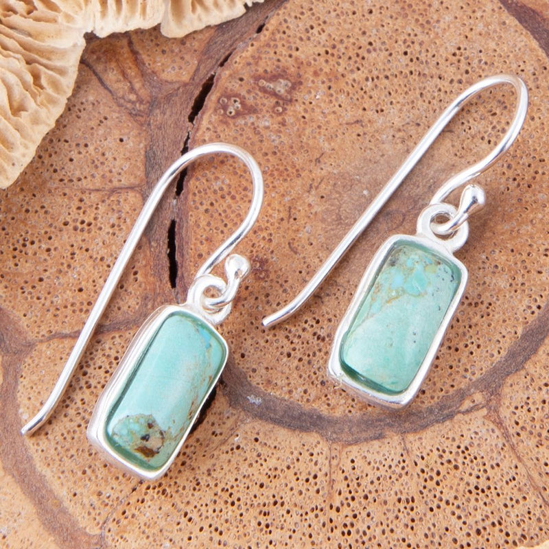 Small Blue Turquoiseand Sterling Silver Drop Earrings - Barse Jewelry