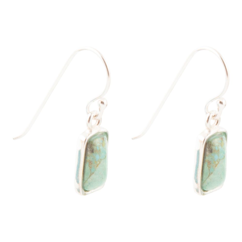 Small Blue Turquoiseand Sterling Silver Drop Earrings - Barse Jewelry