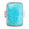 Zion Blue Turquoise and Sterling Silver Ring - Barse Jewelry