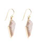 Lafayette Fossilized Coral Earrings - Barse Jewelry