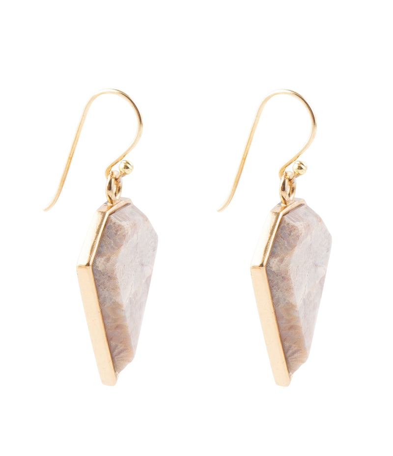 Lafayette Fossilized Coral Earrings - Barse Jewelry