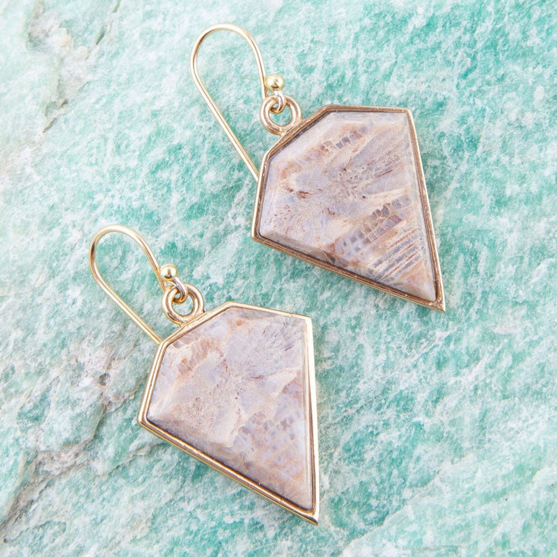 Lafayette Fossilized Coral Earrings - Barse Jewelry