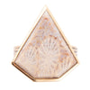 Lafayette Fossilized Coral Ring - Barse Jewelry