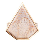 Lafayette Fossilized Coral Ring - Barse Jewelry