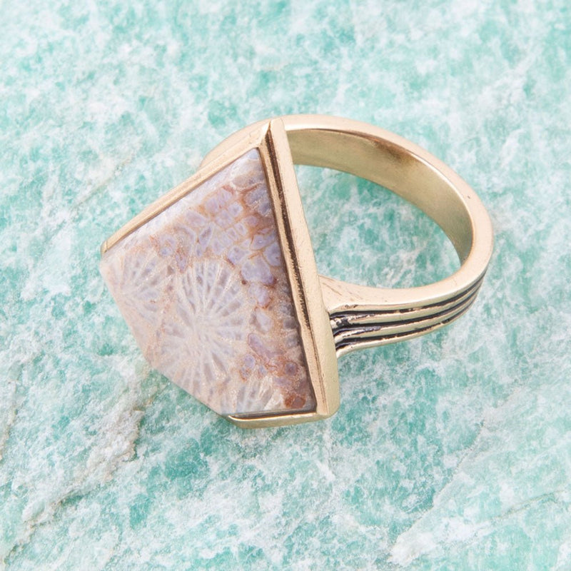 Lafayette Fossilized Coral Ring - Barse Jewelry