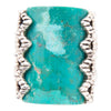 Sluice Genuine turquoise Ring - Barse Jewelry